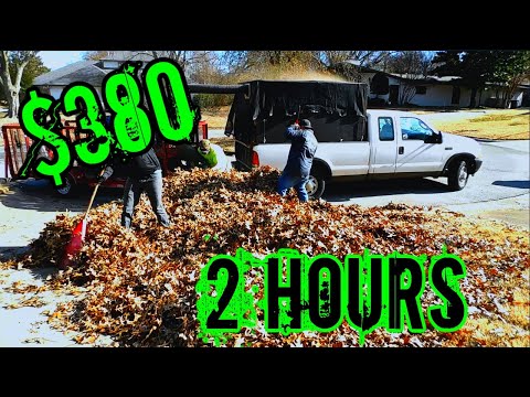 Pricing leaf removal / How i charge for leaf removal
