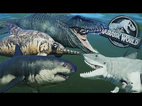 AQUATIC DINOSAUR BATTLE ( MEGALODON VS MOSASAURUS VS AQUATIC HUNTER ) || JURASSIC WORLD EVOLUTION