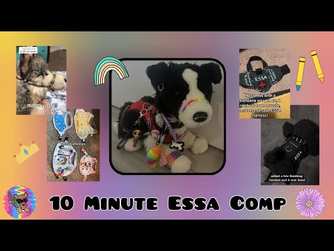 Essa comp because you dont have tiktok! (DIY gear and unboxing ed)
