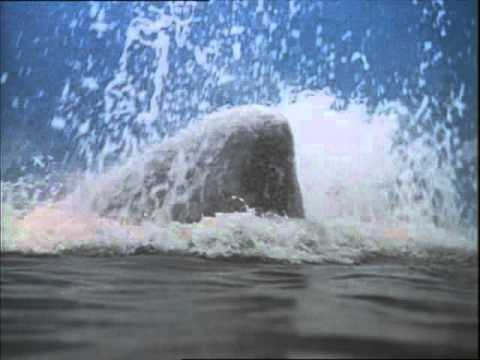 download lagu mp3 mp4 Kaptajn Ahab, download lagu Kaptajn Ahab gratis, unduh video klip Kaptajn Ahab
