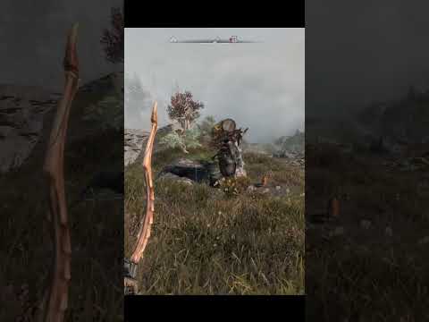 Oh no... | Skyrim shorts #139