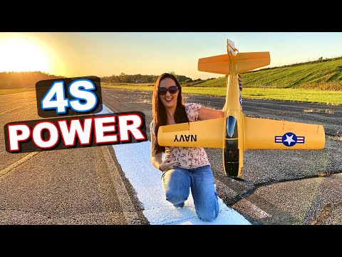 The RC SMART PLANE You SHOULD HAVE in YOUR COLLECTION! - T-28 Trojan - TheRcSaylors