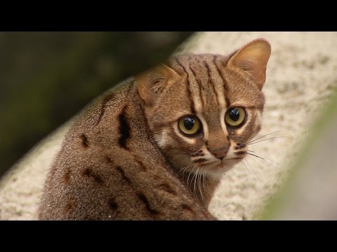 Upoutávka Zoo Ostrava 2014