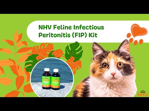 NHV Feline Infectious Peritonitis Kit For Cats and Dogs