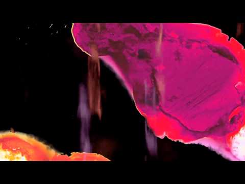 Stubborn Heart - Two Times A Maybe