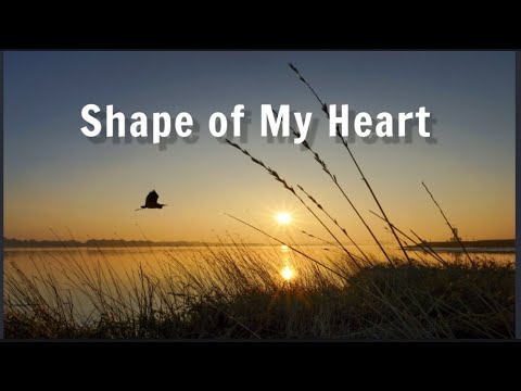 🎷Shape of My Heart (Sting) -  Alto Sax. Cover