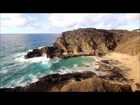 Red-tailed Tropicbird Nesting Season