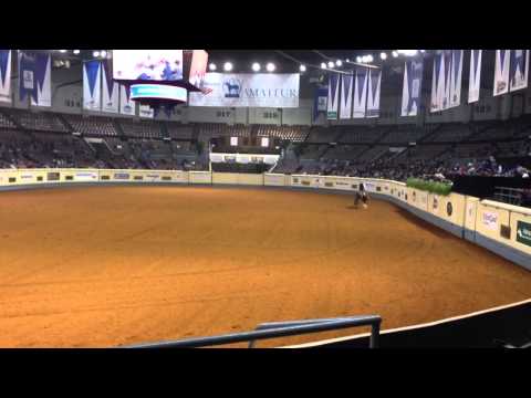 Matt Koch reined work