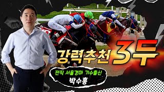 [경마] 5월4주차 서울경마 추천마3두(배당포커스)#박수홍경마