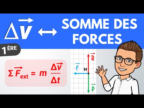 Velocity change vector and sum of forces | 1st year | Physics