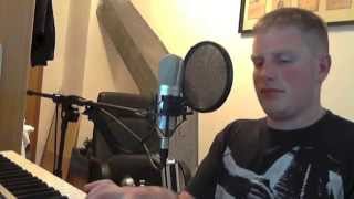 Manchmal denk i no an di- Rainhard Fendrich (Cover)