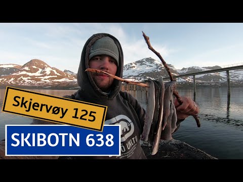 KILPISJÄRVI - SKIBOTN - SKJERVØY - KALASSA NORJASSA