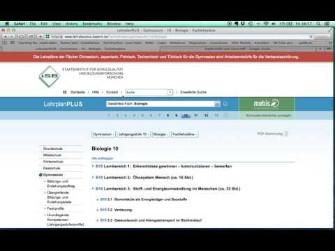 Wie komme ich auf die Seite des LehrplanPlus Bayern