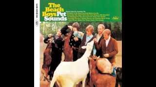 The Beach Boys That&#39;s not me (Pet Sounds)