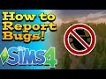 How To Report And Help Reduce Bugs In The Sims 4