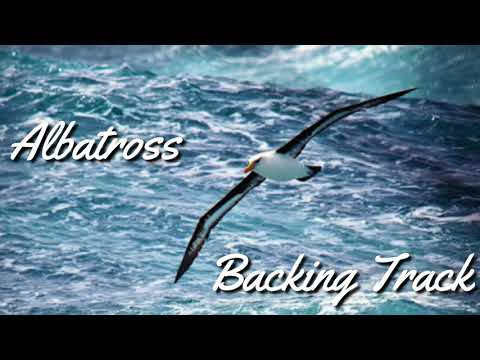 Albatross Backing