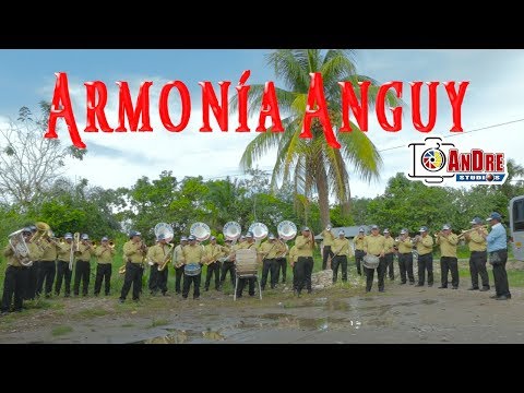 NUEVO PROGRESO 2018 (1) - ARMONIA ANGUY ME ESTAS SACANDO LA VUELTA