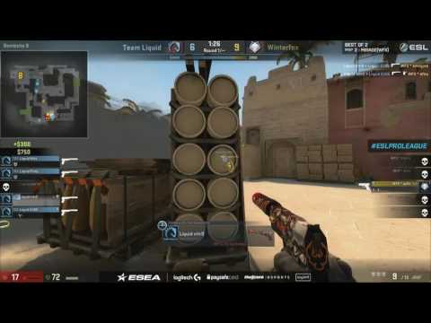 Winterfox vs Liquid - nitr0 4k |ESL Pro League Season 4|