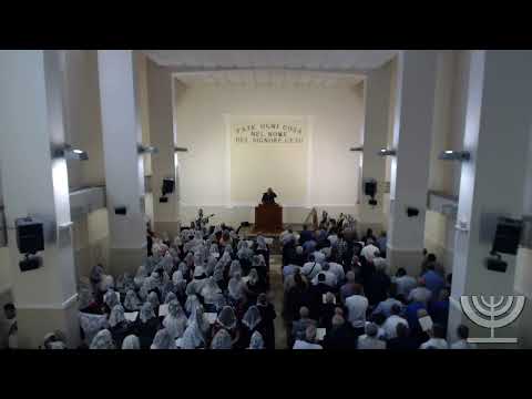 2019-07-14 Domenica Mattina - Fr Gemelli - Fr Mondello - LUCA cap 24 verso 28