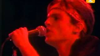 Miguel Bose, Don diablo, Festival de Viña 1982