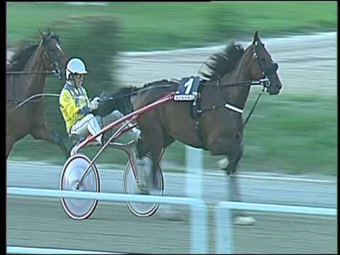 Trotto 25/09/2016 - 7ª corsa