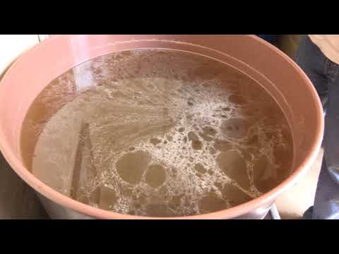 Boja meda ep.15 19.06.2018. - Krečno leglo, Med od žalfije, Vitez među pčelarima ...