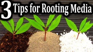 The BEST Medium for Rooting your Cuttings | 3 Criteria for Successful Plant Propagation