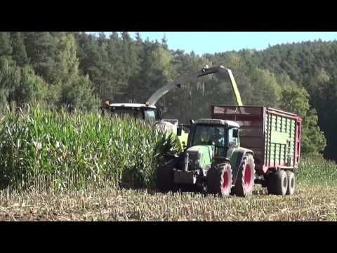 Maishäckseln mit Claas Jaguar 860 (neue 800er Baureihe), Orbis 600