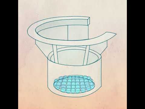How Lung Organoids Could Help Us Understand COVID-19