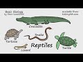 Reptiles by Peter Weatherall