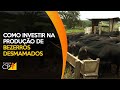 Curso Administração da Pequena Empresa Rural