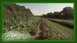 Farming On A Small Scale