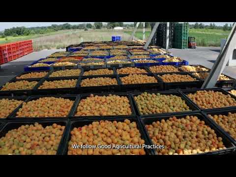 CHB Group - Growing sustainably