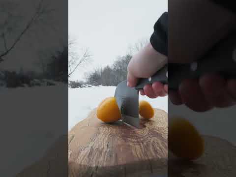 5 Handmade Chicken Gyro