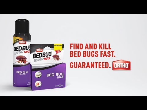 First-of-its-kind Bed Bug Pheromone Trap | Ortho