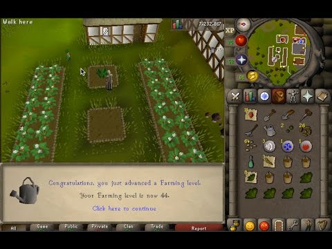 beginners guide to farming
