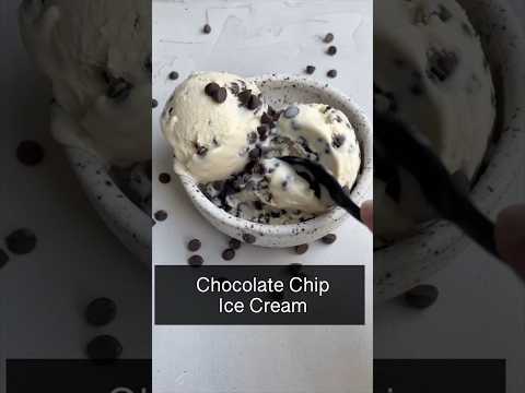 Chocolate Chip Ice Cream