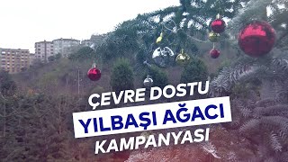 İBB BAHÇE MARKET'TE YILBAŞI AĞACI SATIŞI BAŞLADI