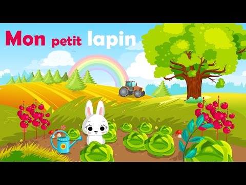 A écouter en préparant Cuisse de lapin à l'étouffée, carottes, romarin et citron