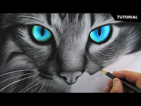 How to Draw Realistic Cat for BEGINNERS | Fur Drawing...