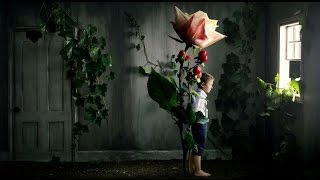 IT&#39;S A SAD AFFAIR  -  PETER FRAMPTON  -  (1979)