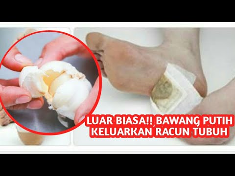 Seperti latihan binaraga mempengaruhi Statistik potensi Creatine untuk potensi laki-laki