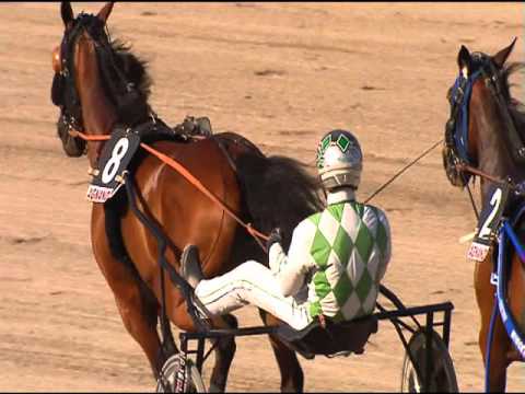 TROTTO 04/05/2016 - 7° Corsa CONSOLAZIONE 67° GRAN PREMIO LOTTERIA