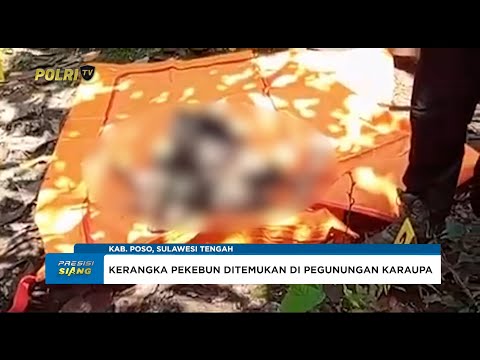 WARGA TEMUKAN KERANGKA PEKEBUN YANG HILANG DI PEGUNUNGAN POSO