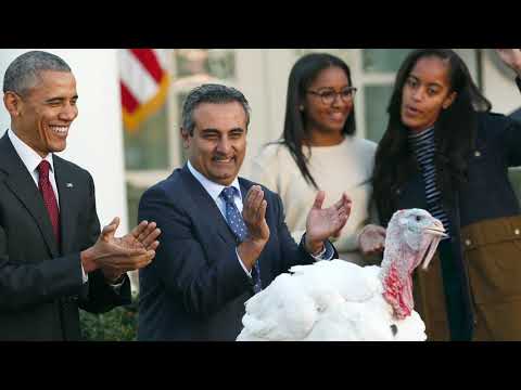 赦免火雞 "的傳統歷久彌新。 (‘Turkey pardoning’ tradition through the years)