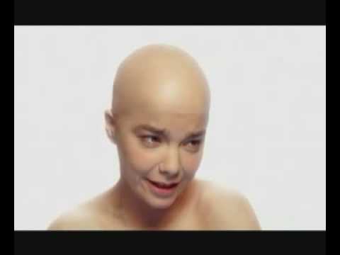 Björk - Hunter (Subtítulos en Español opcionales)