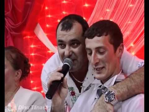 Dinu Tanasa 2011 - Lesu - Muzica de masa 1.avi