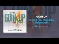N.O.R.E., Dj Khaled & DreamDoll - Goin Up (AUDIO)