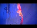 BigAppleCircus7