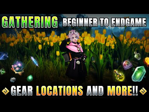 Everything You NEED to Gather in Black Desert Online